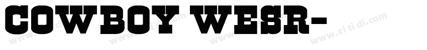 cowboy wesr字体转换